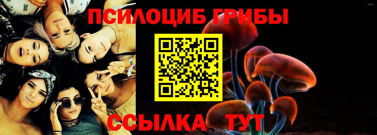 Сыктывкар  Галлюциногенные грибы ЛСД  Вход с VPN 